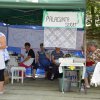 Falunap 2017